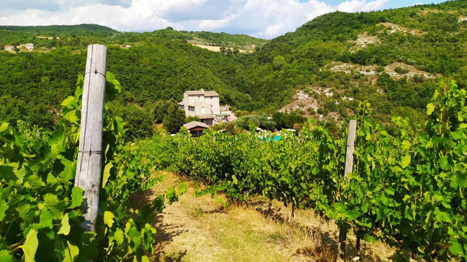 Re Artu Assisi Country Lifestyle Aparthotel Exteriör bild