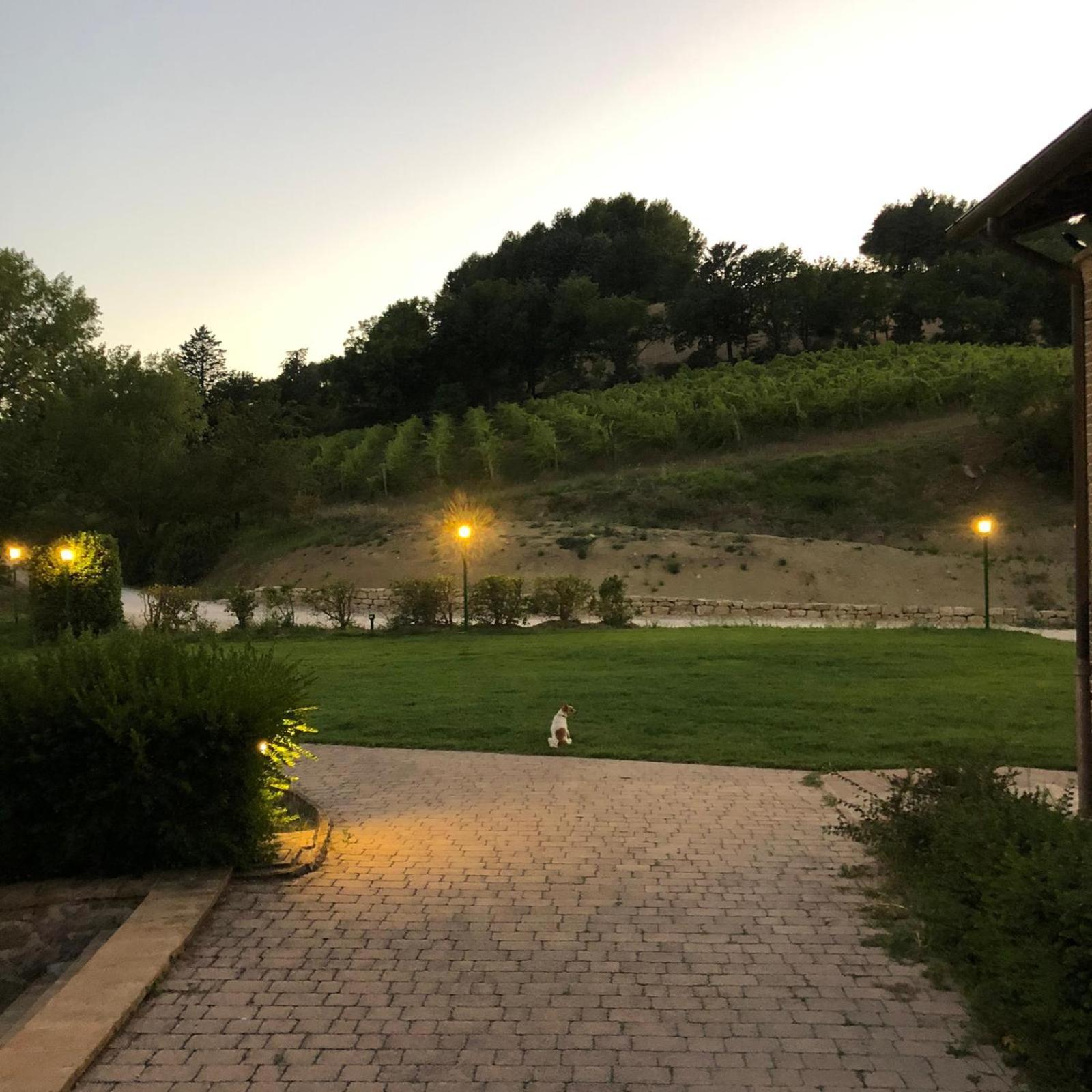 Re Artu Assisi Country Lifestyle Aparthotel Exteriör bild